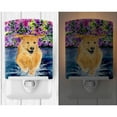 thumbnail image 2 of Caroline's Treasures SS8627CNL Golden Retriever Ceramic Night Light, 6x4x3", multicolor, 2 of 2