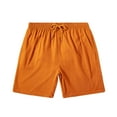 thumbnail image 1 of Birdeem Mens Shorts Mens Casual Surfing Solid Color Drawstring Elastic Quick-Dry Beach Shorts, 1 of 8