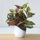 thumbnail image 3 of Planta artificial realista, vegetación falsa para decoración del hogar, 3 of 4