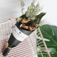 thumbnail image 2 of 1 ramo de flores secas, adorno de rosas artificiales para el hogar, boda, fiesta, regalo (n.° 2), 2 of 7