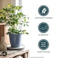 thumbnail image 3 of The HC Companies 6 Inch Eclipse Round Planter with Saucer - Indoor Outdoor Plant Pot for Flowers, Vegetables, and Herbs, Clay, 3 of 6