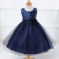 thumbnail image 5 of Girls Flower Mesh Puffy Dress Holiday Performance Lace Dress Princess Dress, 5 of 6