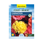 Ferry-Morse 270MG Carnation Chabaud Giant Mixed Colors Perennial Flower Seeds Full Sun