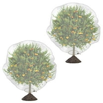 Tierra Garden Haxnicks Fruit Tree Net Cover - Walmart.com