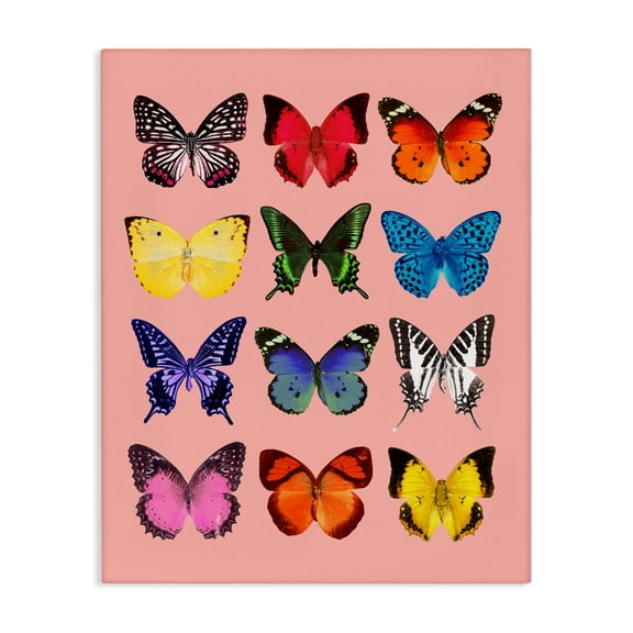 Butterfly Species on Pink Canvas Wall Art, design by LISH Creative