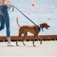 thumbnail image 2 of Peine de aseo para perros, 2 uds., babero refrescante para mascotas, toalla para perros, bufanda de hielo, Collar para perros frío para verano, bufanda para perros de tela cómoda y fresca S, 2 of 5
