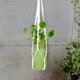 thumbnail image 3 of Colgador de bolsa de red para plantas, flor para colgar en pared, soporte para maceta, decoración interior y exterior, balcón, 2 uds., 3 of 4