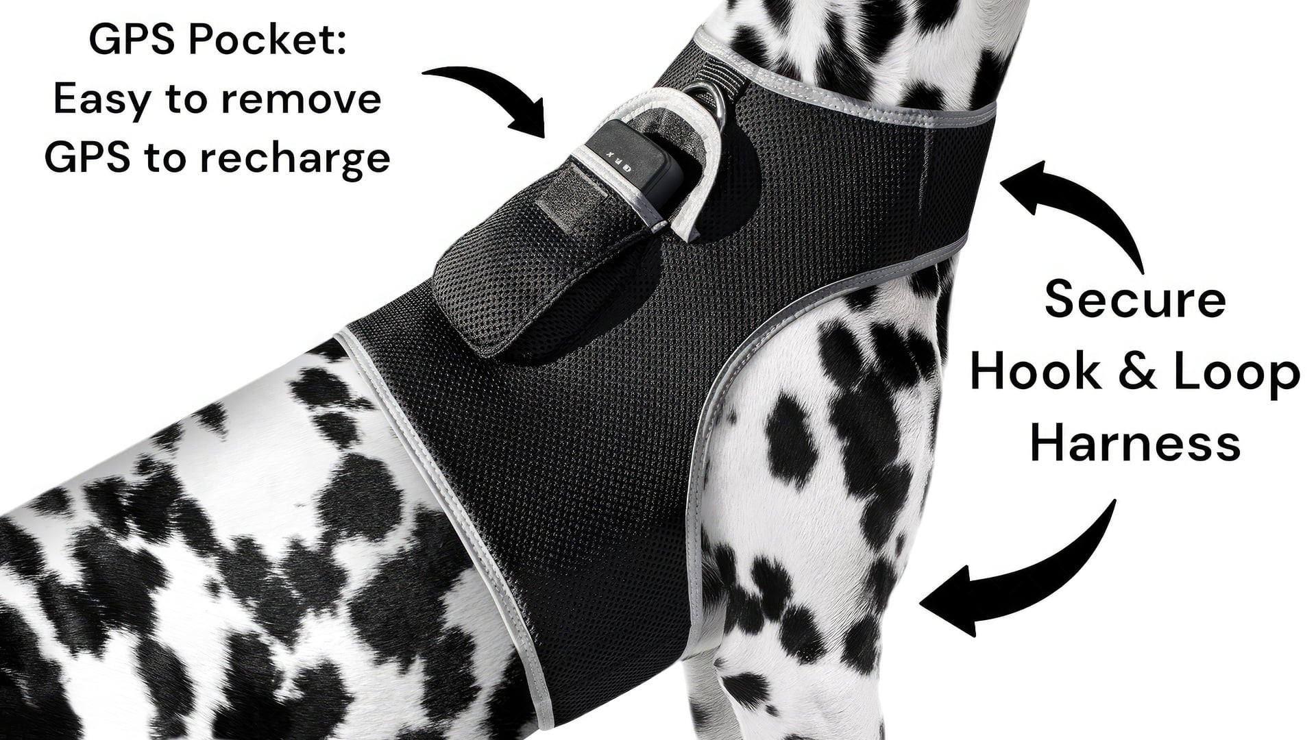Pet Tracker Realtime GPS Tracking System for Dogs Collar Attach GSM Tracking Device Size:L