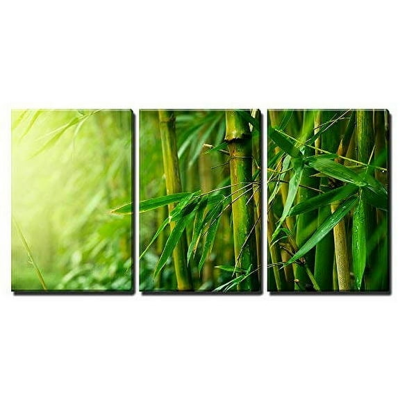 wall26 - 3 Piece Canvas Wall Art - Bamboo - Modern Home Art Stretched and Framed Ready to Hang - 16"x24"x3 Panels