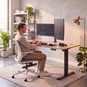 Furmax 55 x 24 Home Office Electric Height Adjustable Standing Desk