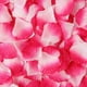 thumbnail image 1 of Nvzi 1000 piezas de pétalos de rosa artificiales para decoración de fiestas de bodas, color blanco y fucsia, 1 of 4