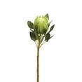 thumbnail image 2 of D&W Silks - White Large Protea Flower Stem - Set of 3, 2 of 9
