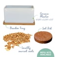 thumbnail image 3 of The Cat Ladies Organic Cat Grass Kit - With Organic Seed Mix, Soil, Ceramic Planter, Bamboo Tray, 3 of 9