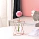 thumbnail image 1 of Florero de cristal decorativo BLESIY Soporte de metal Tubos de ensayo S, 1 of 8