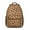 Leopard Print-2, variant on Leopard Print Backpack for School,Cute School Bag,Schoolbag with Adjustable Shoulder Straps & Padded Back,15.3"x11"x6.7"