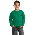 thumbnail image 1 of Port & Company Boys' Crewneck Sweatshirt, 1 of 1