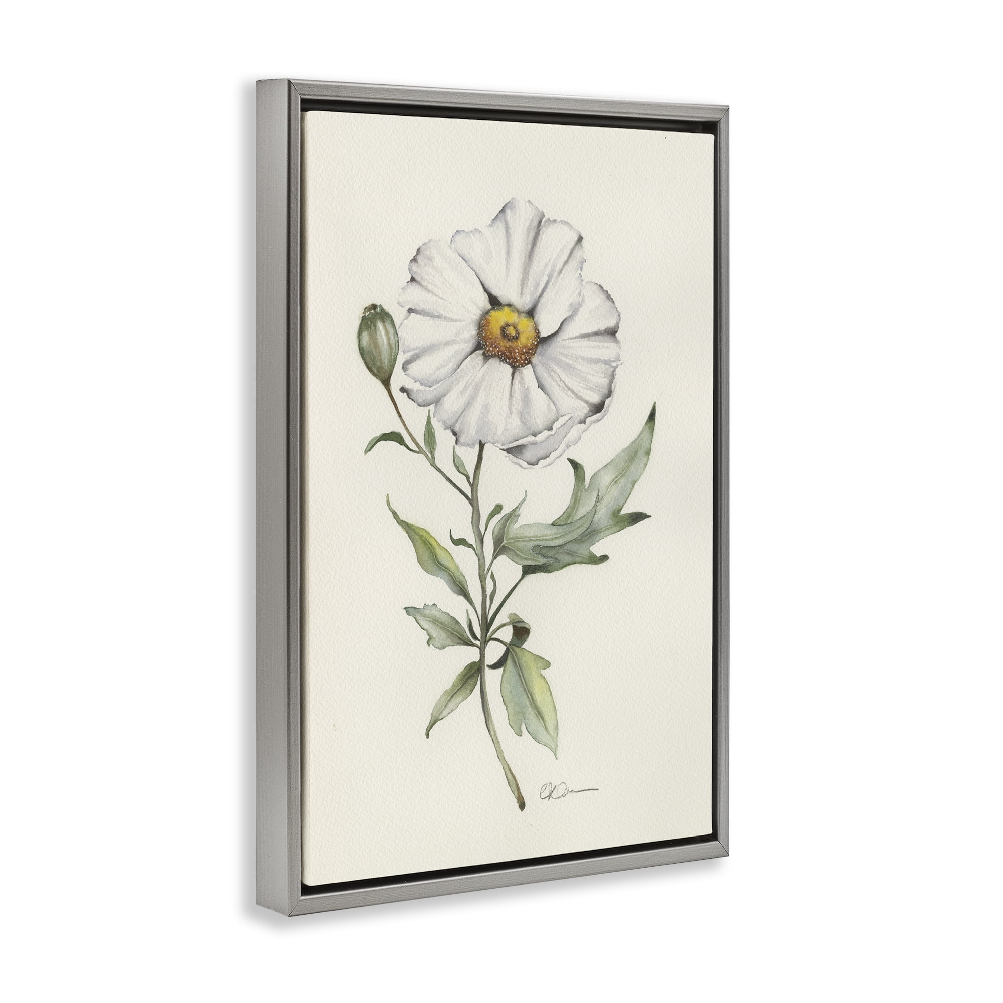 Stupell Industries Natural Wild Blossom Sprig Gray Framed Floater Canvas Wall Art, design by Cady Driver