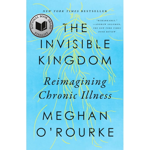 Pre-Owned The Invisible Kingdom: Reimagining Chronic Illness (Paperback) 0399573305 9780399573309