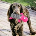thumbnail image 1 of 2 uds Juguete masticable para perros Bling Bling Rana Hipopótamo, 1 of 12