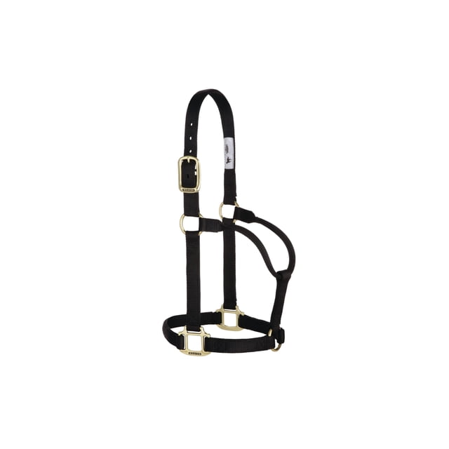 Cabestro para caballo Weaver Equine de nylon negro, no ajustable