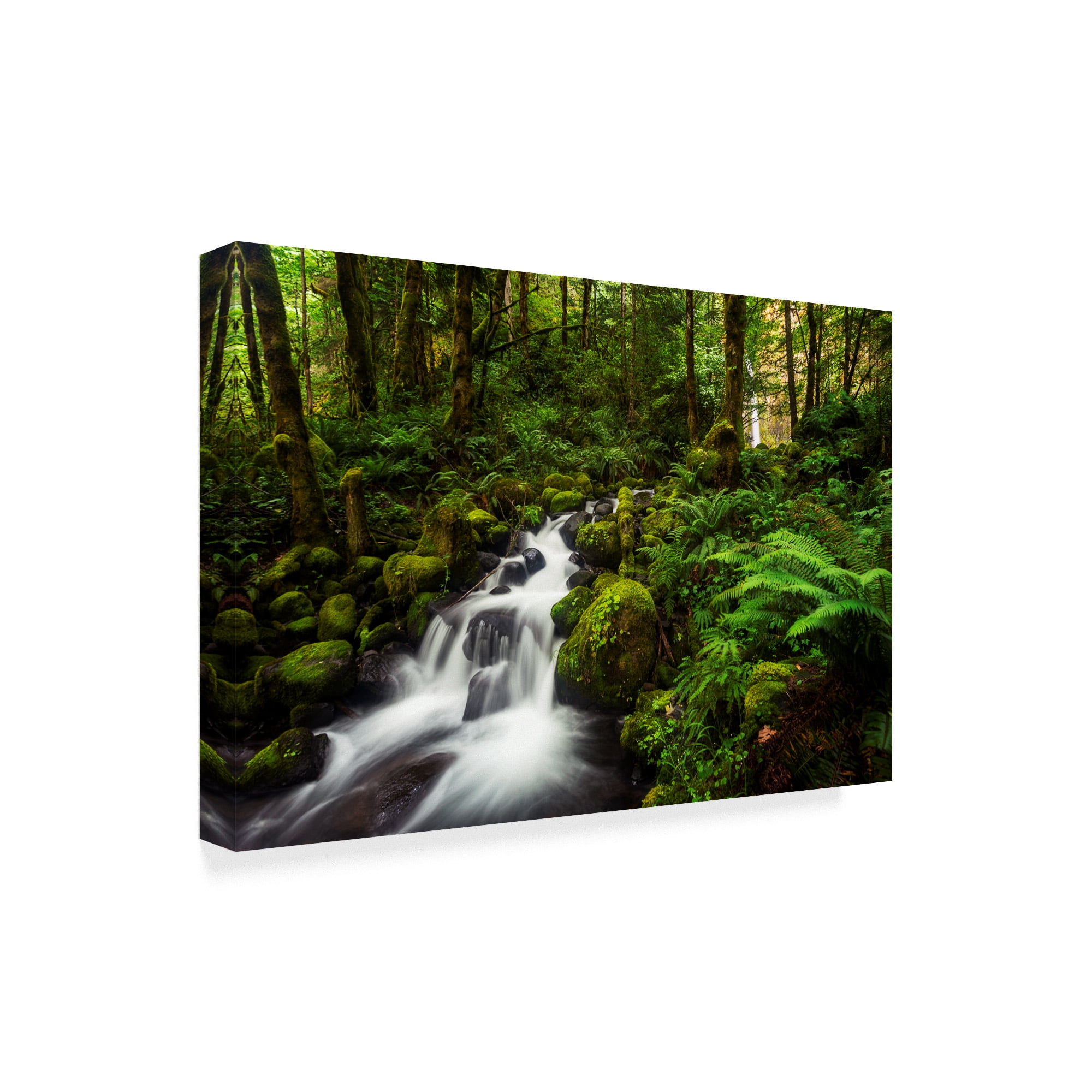 Trademark Fine Art 'Moment In Nature' Canvas Art by Natalie Mikaels
