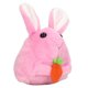 thumbnail image 4 of Juguete mecánico de conejito de peluche NikouMX, 4 of 8