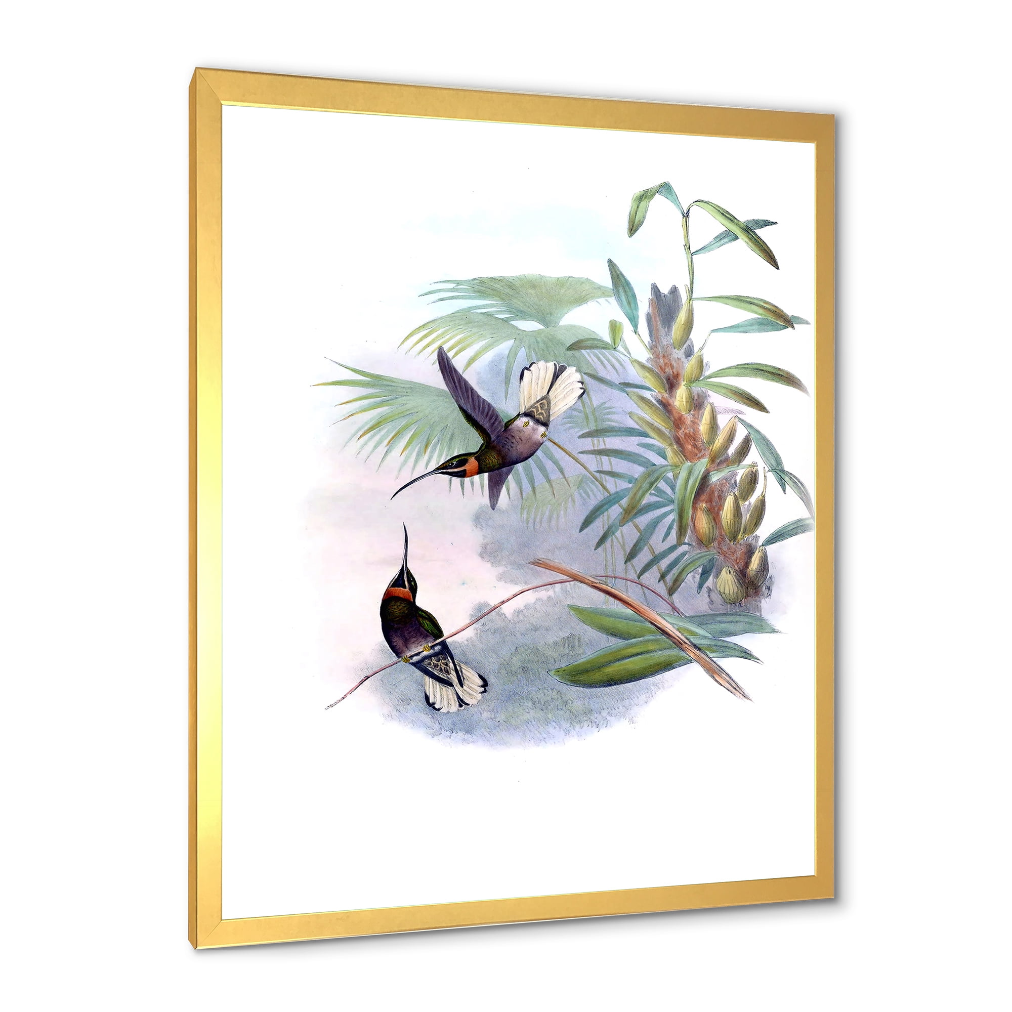 Designart 'Ancient Hummingbird On A Branch' Traditional Framed Art Print