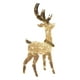 thumbnail image 1 of Christmas Deer Lights Decorative Lighted Holiday Deer Figure for Halloween Porch perfecl luces de reno, 1 of 8
