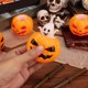 thumbnail image 4 of Juguete de Descompresión de Fantasma de Calabaza, Pelota Hinchable para Apretar, Decoraciones para Fiesta de Halloween, Hogar DIY, 4 of 5