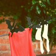 thumbnail image 5 of Ltdhehe And Interesting Bat Clothespins Windproof Clothespins Cartoon Style Slip Clothespins For Drying Clothes, 5 of 5