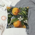 thumbnail image 2 of Chilfamy Mediterranean Lemon On Blue Ceramic Tiles Throw Pillow Cover Cozy Square Throw Pillowcases Home Decorative for Bed Couch Sofa Living Room Cushion Cover White, 2 of 5