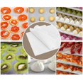 thumbnail image 1 of pitrice Kitchen Non-Stick Silicone Dehydrator Sheets for Fruit Reusable Food Dehydrator Sheets Dryer Mesh, 1 of 7