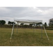 Party Tents Direct West Coast Frame Canopy Tent, Heavy Duty Steel, 10'x10' White