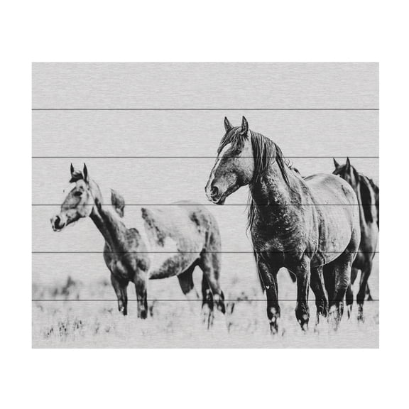 LightBoxJournal 'Wild Horses of the Great Basin 04' Wood Slat Art 18x22
