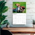 thumbnail image 5 of For the Love of Dachshunds | 2027 14x24" (Hanging) Wall Calendar | Plastic-Free, 5 of 9
