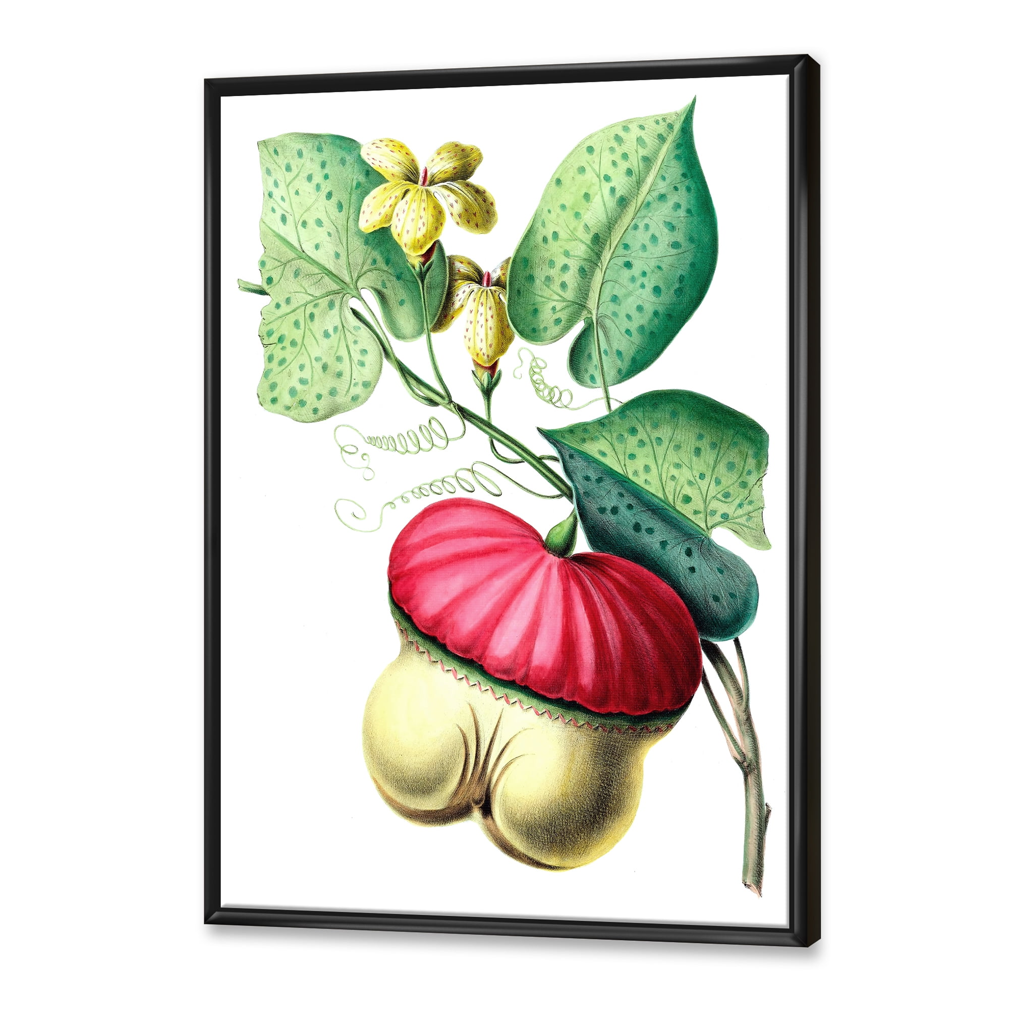 Designart 'American Vintage Flowers I' Traditional Framed Canvas Wall Art Print