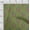 Moss Green, variant on oneOone Organic Cotton Poplin Twill Fabric Leaves|Floral & Paisley Block Decor Fabric Printed BTY 42 Inch Wide