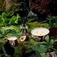 thumbnail image 3 of Vela en lata Voluspa Forbidden Fig 12 oz, 3 of 3