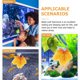 thumbnail image 4 of 3pcs betta fish hamaca hamaca cama betta accesorios de peces betta decoración del acuario, 4 of 5