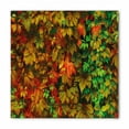 thumbnail image 1 of Fall Bandana, Colorful Leafage Vivid, Unisex Head and Neck Tie, by Ambesonne, 1 of 2