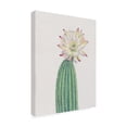 thumbnail image 2 of Canvas Wall Art - Tim OToole 'Cactus Blossom I' Wall Art for Living Room, Bedroom, or Office Décor by Trademark Fine Art - 24 x 32 Inches, 2 of 4