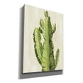 thumbnail image 2 of Epic Graffiti 'Front Yard Cactus II' by Silvia Vassileva, Canvas Wall Art, 40"x54", 2 of 8