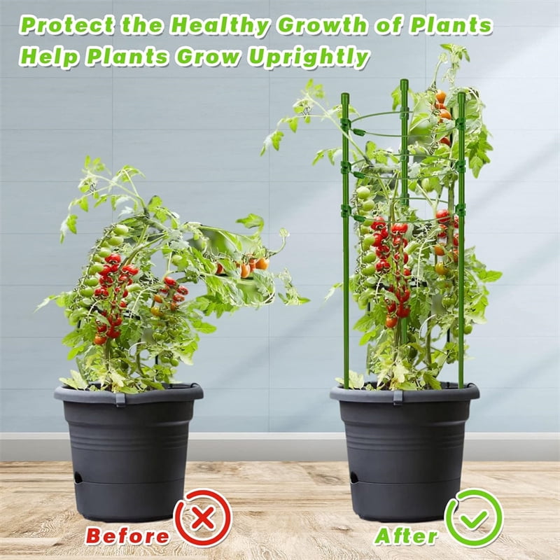 6 Packs 18inch Plant Support Cages for Home Garden Balcony for Orchids, Tomato, Vegetables, Flowers, Climbing Plants