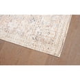 thumbnail image 6 of Ava Vintage Caspian Area Rug - Blush, 7'10"x9'10", 6 of 7