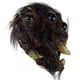 thumbnail image 2 of Máscara de Araña Ghoulish productions disfraz Halloween Terror animales Completa, 2 of 5