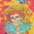 thumbnail image 2 of Grateful Dead Kids T-Shirt: Bertha Frame (Wash Collection) (11-12 Years), 2 of 4