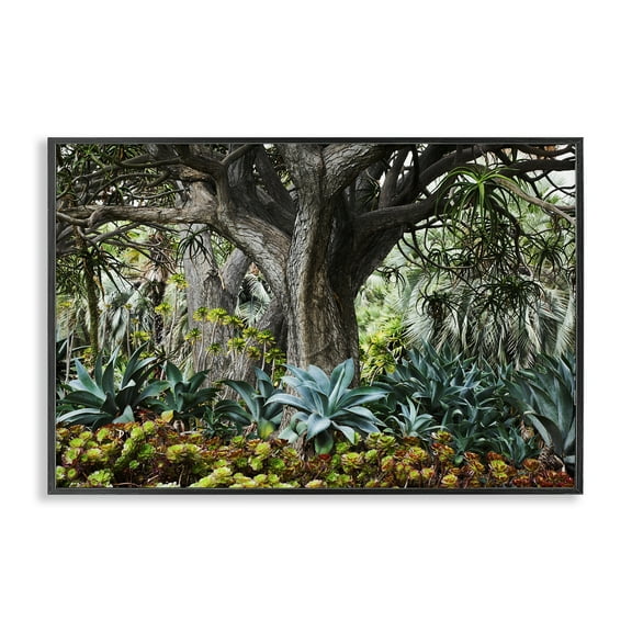 Stupell Industries Lush Tropical Vegetation Landscape & Nature Photography Black Framed Art Print Wall Art, 18 x 12