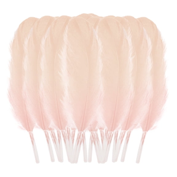 HJQEQVD 50 Pcs Feathers Crafts for DIY Craft Jewelry Making Wedding Home Party Decorations DIY Feathers for Hair Cat Stick Clothing Craft Decoration Plumage