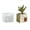 square, variant on Versatile Silicone Mould For Handmade Resin Coin Holders And Small Succulents Plant Containers