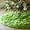 48in Green, variant on Ayieyill Christmas Tree Skirt, 48" Faux Fur White Christmas Tree Skirt for Christmas Tree Decorations Xmas Tree Skirt (White)